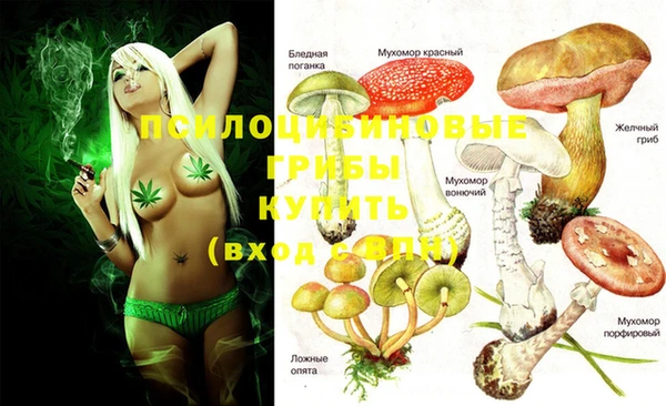 эйфоретик Алзамай