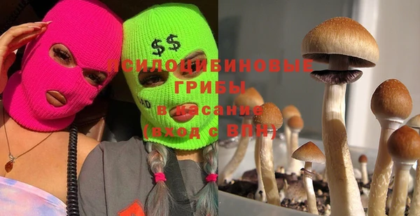 твердый Алексин